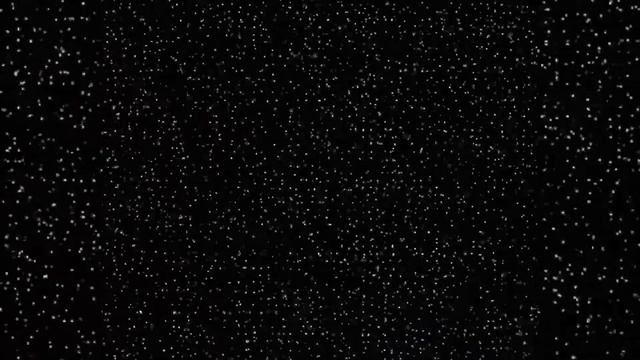 Kanto Manji Gang React To Takemichi As Pantalone /Реакция ТМ на Такемичи это Панталоне. НА ЗАКАЗ