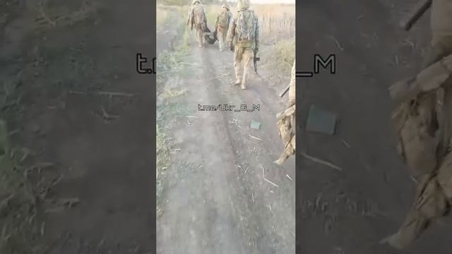 Чубатые сходили в контрнаступ. смотреть онлайн