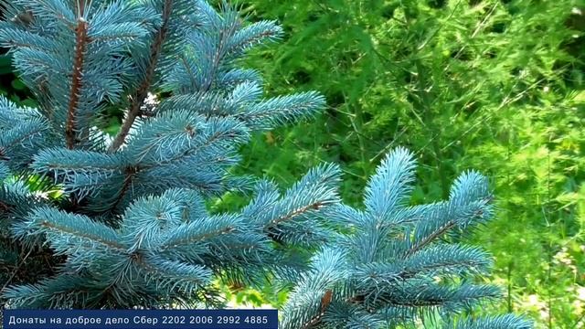 Оздоровление нервной системы Для девочек смотреть онлайн