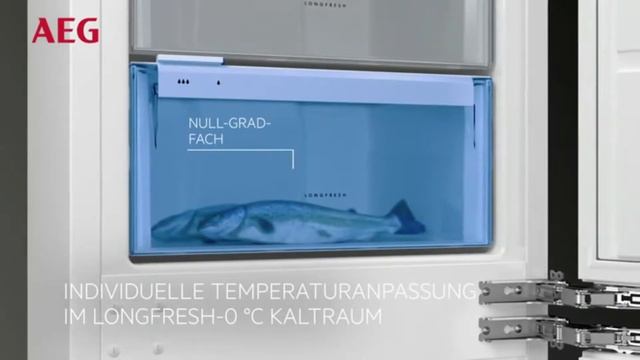 ❄️ Kühlschrank Test (2024) – ? Die besten Kühlschränke смотреть онлайн