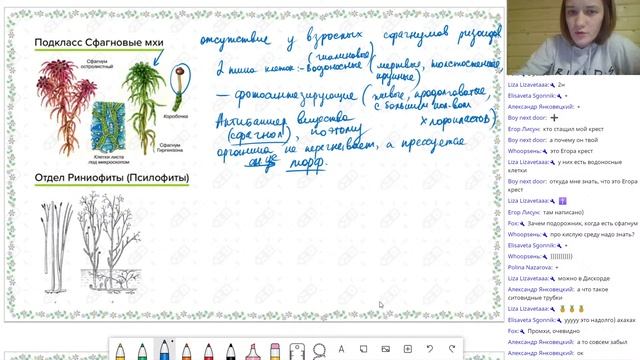 Биология. ЕГЭ2021. Споровые растения смотреть онлайн