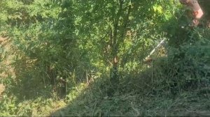 Stihl Fs 461 C EM With Shredcut 270-2