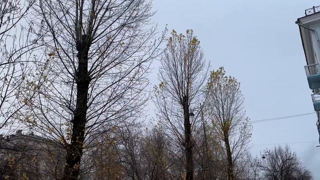 куда дует ветер. 21.10.2020 смотреть онлайн