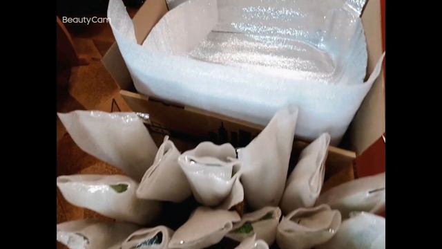 Посылка с цветами в мороз. Мой опыт отправки пеларгоний зимою.