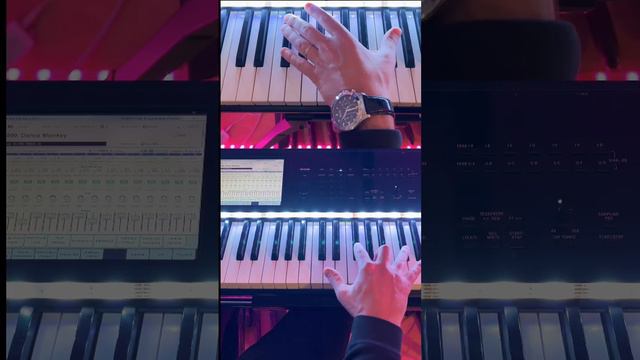 Tones and I - Dance Monkey (Piano Tutorial) 🎹🎹🎹😱 смотреть онлайн