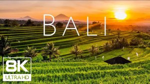 Бали, Индонезия   8K Ultra HD 60FPS