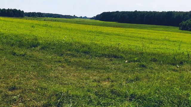 Доты и Дзоты с 1914 г/ Родник в лесу / Памятники на кукурузном поле смотреть онлайн