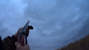 иж 58, тоз 34.охота на утку 2022 охота с горизонталкой