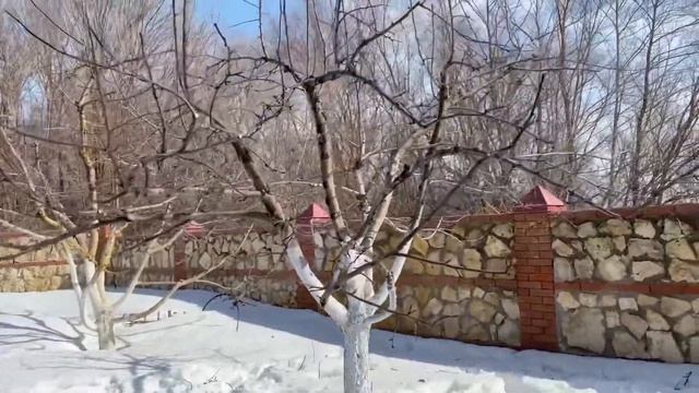 Весенняя обрезка плодовых деревьев смотреть онлайн