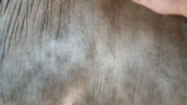 Таинственные ночи