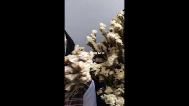 Dried Flower Statice Reseller Grosir Bunga Kering Asli Buket Hiasan