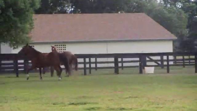 Feeling Groovy 2 смотреть онлайн