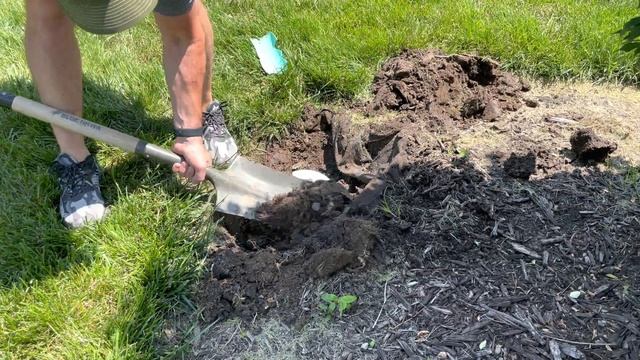 Septic System Clean Out Repair & John Deere 2025r Destroys Buick Regal смотреть онлайн
