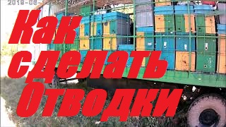 Отводки на лётной пчеле.Подсадка маток на разные породы пчел.Приём пчелиных маток 100 %. смотреть онлайн