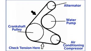 Toyota/Scion 1NZ-FE Serpentine Belt Replacement