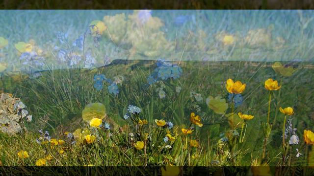 Бермамыт 2018 смотреть онлайн