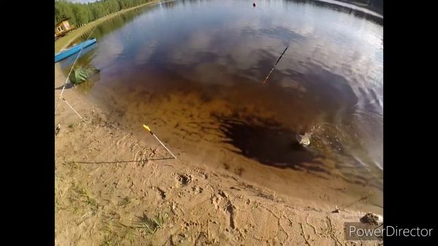 Реванш . Отличный клёв карпа. Лап-Ландия Солигорск смотреть онлайн