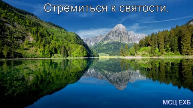 Стремиться к святости. А. Костенко. Проповедь. МСЦ ЕХБ. смотреть онлайн