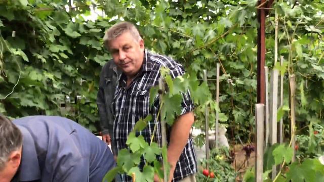 Виноградный Спас 05.09.2020. В гостях у Виталия Лычкова. Часть вторая. смотреть онлайн
