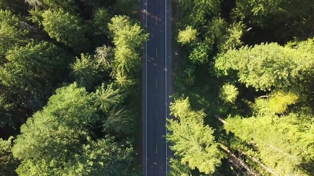 Звук дорог, шум деревьев, поездка на машине, пение птиц, Relax Time смотреть онлайн
