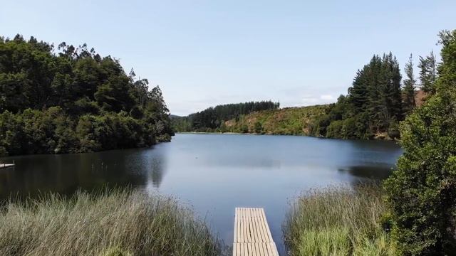 Волк не оставил тварям ни единого шанса. За девушку он был готов уничтожить смотреть онлайн