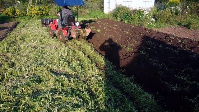 мтз 132 перепахвает скошеную горчицу 2х корпусным плугом смотреть онлайн