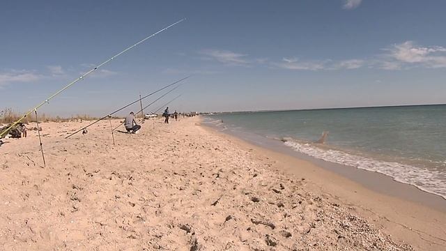 Рыбалка пеленгас с берега осень 2019
