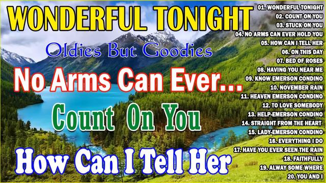 Wonderful Tonight - Oldies But Goodies Nonstop Medley 🎶 Bee Gees, Lobo, Eric Clapton смотреть онлайн