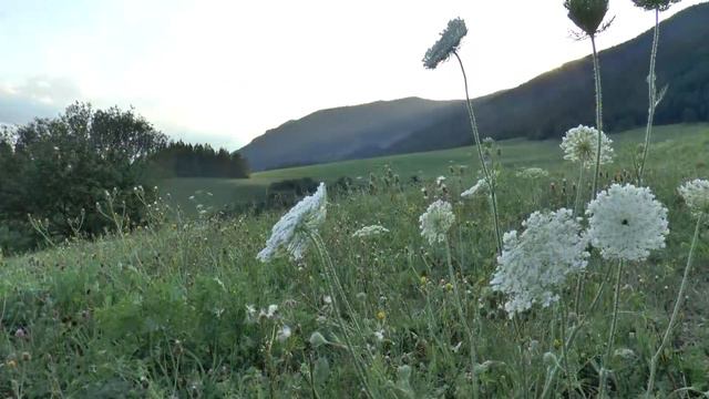 For the Beauty of the Earth Sara Groves Lyrics смотреть онлайн
