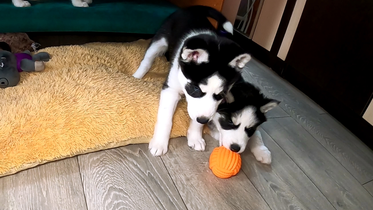 Загадочный мячик