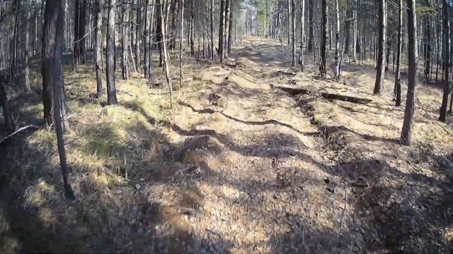 Любишь кататься, люби и саночки возить... смотреть онлайн