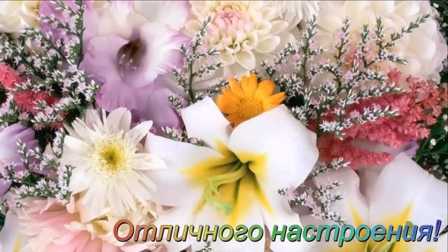 С Днём Рождения, Ирина Александровна! смотреть онлайн