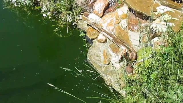 Миниводопад своими руками. смотреть онлайн