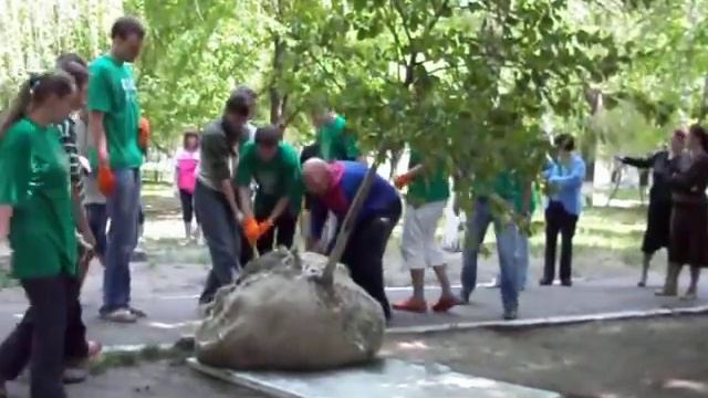 Дерево-репка смотреть онлайн