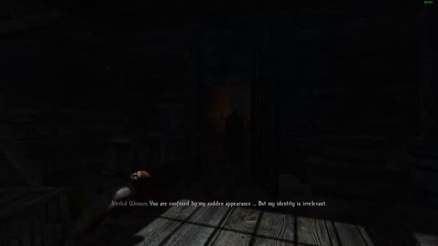 Elder Scrolls V Skyrim - Enderal (пока на английском языке) смотреть онлайн