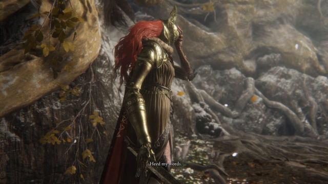 Elden Ring - Malenia - Part 14 Walkthrough Gameplay