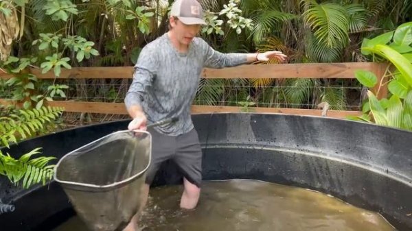 I Found Mysterious Fish LIVING in ABANDONED POND!