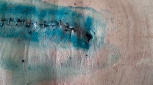 Снятие скобок (антистеплер)