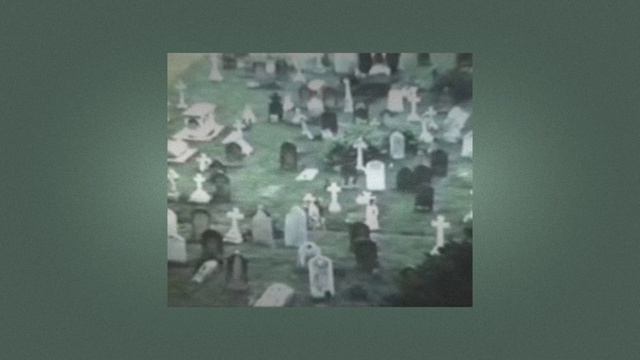 Zombie on your lawn - Laura Shigihara (slowed & reverb) смотреть онлайн