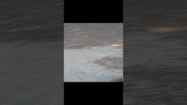 гулять 2 часть