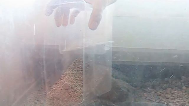 how to set up a biotope part 1 смотреть онлайн