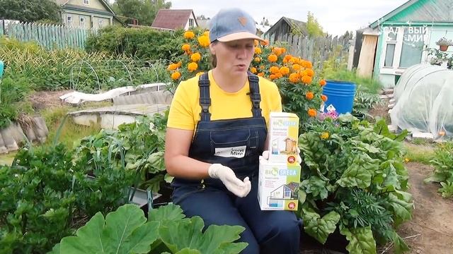 Дачный туалет своими руками. Где разместить на участке и какие средства использовать для туалета. смотреть онлайн