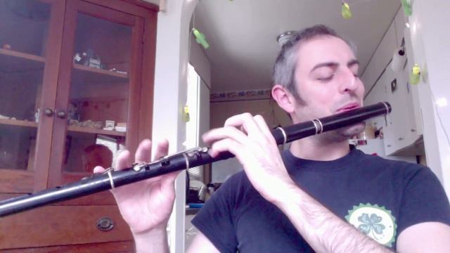 Humours of Glendart - slow/fast - Irish Flute смотреть онлайн