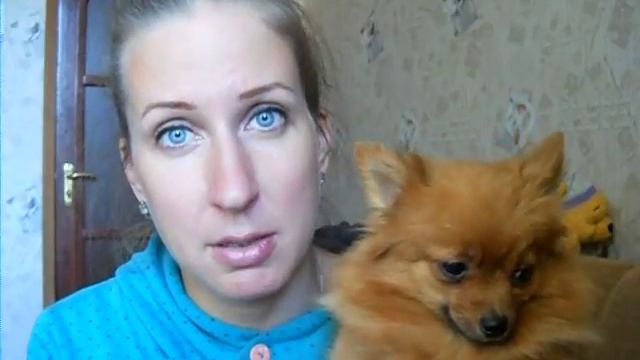 Чем кормить кормящую суку ? смотреть онлайн