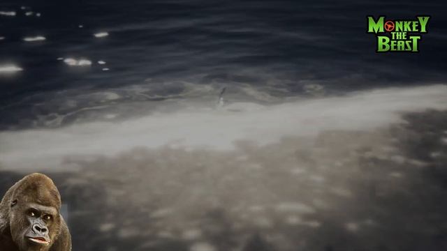 GTA 5 ONLINE PS/XBOX - RP INFINITI - MODDARE RANGO ZERO REQUISITI 100% SOLO - 5000 RP AL MINUTO GTA смотреть онлайн