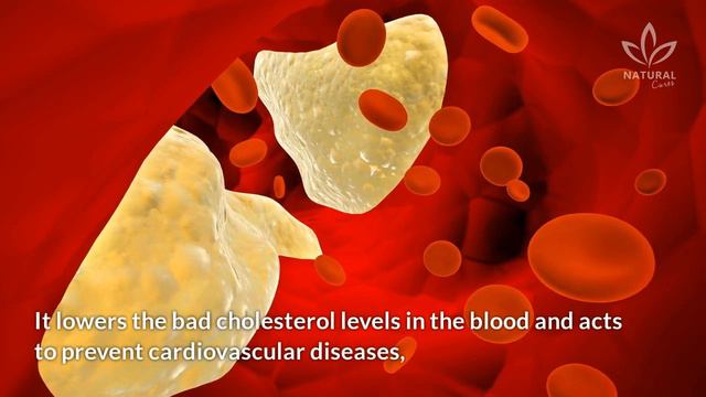 Unleash the Health Benefits of Apple Tea: Asthma, Diabetes, and More! смотреть онлайн