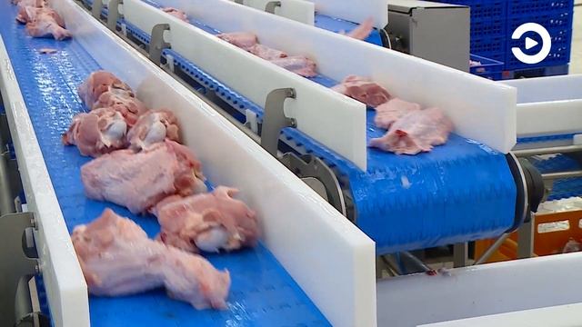 Губернатор посетил птицеперерабатывающий завод в Нижнеломовском районе смотреть онлайн