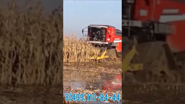Гусеничный ход SABATINO. Увеличивайте проходимость своих комбайнов. смотреть онлайн
