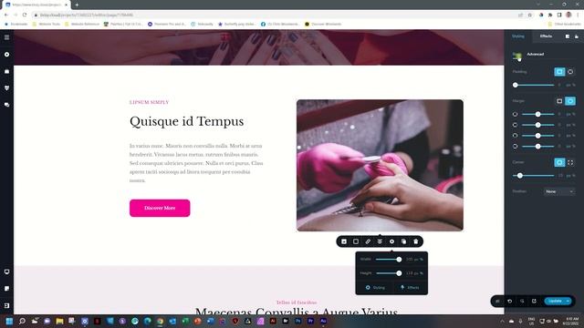 Effortless Styling: Accessing Element Styling Options in Brizy WordPress & Cloud смотреть онлайн