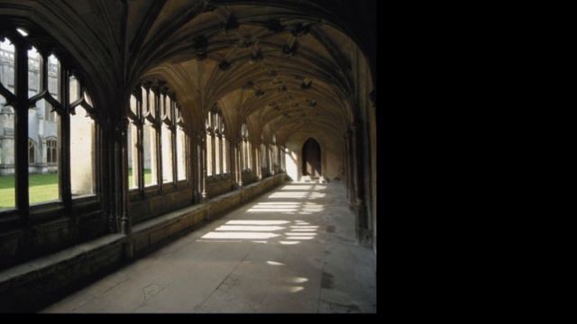 Scorose Fanfiction -Herbology -Part 3